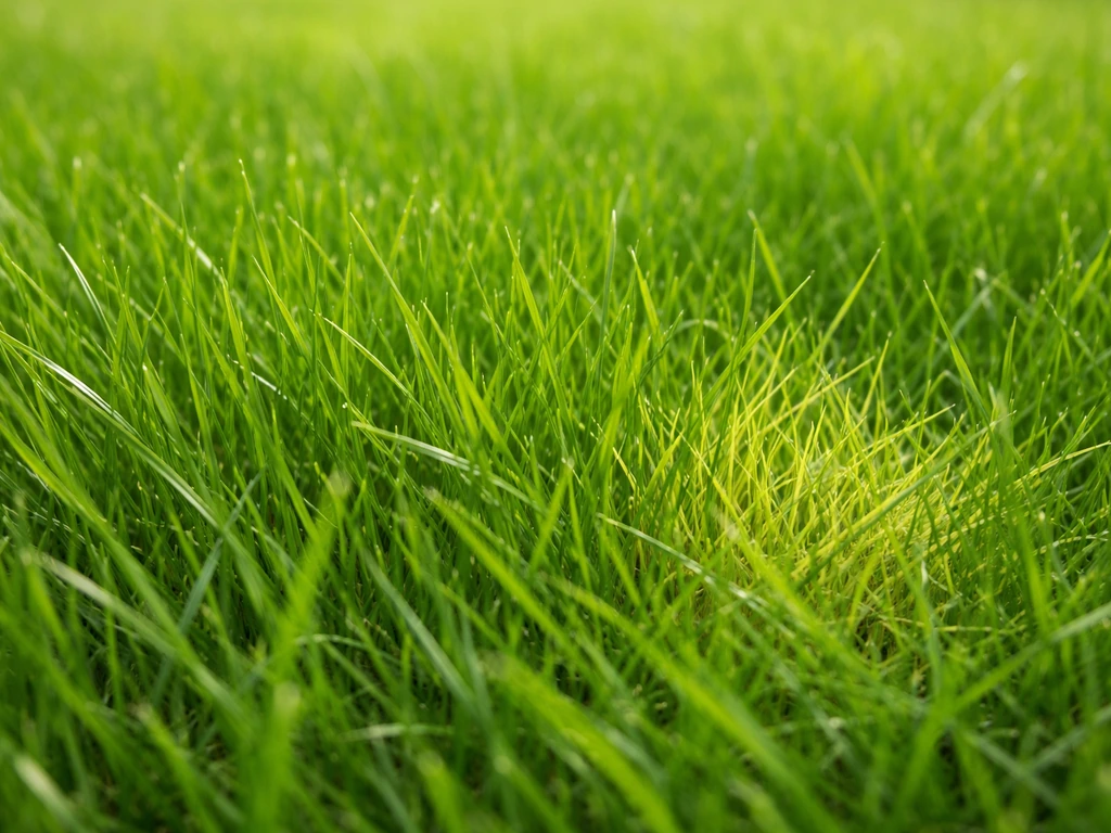 Close-up van levendig groen gras met een duidelijk minder fris gekleurd plekje ernaast