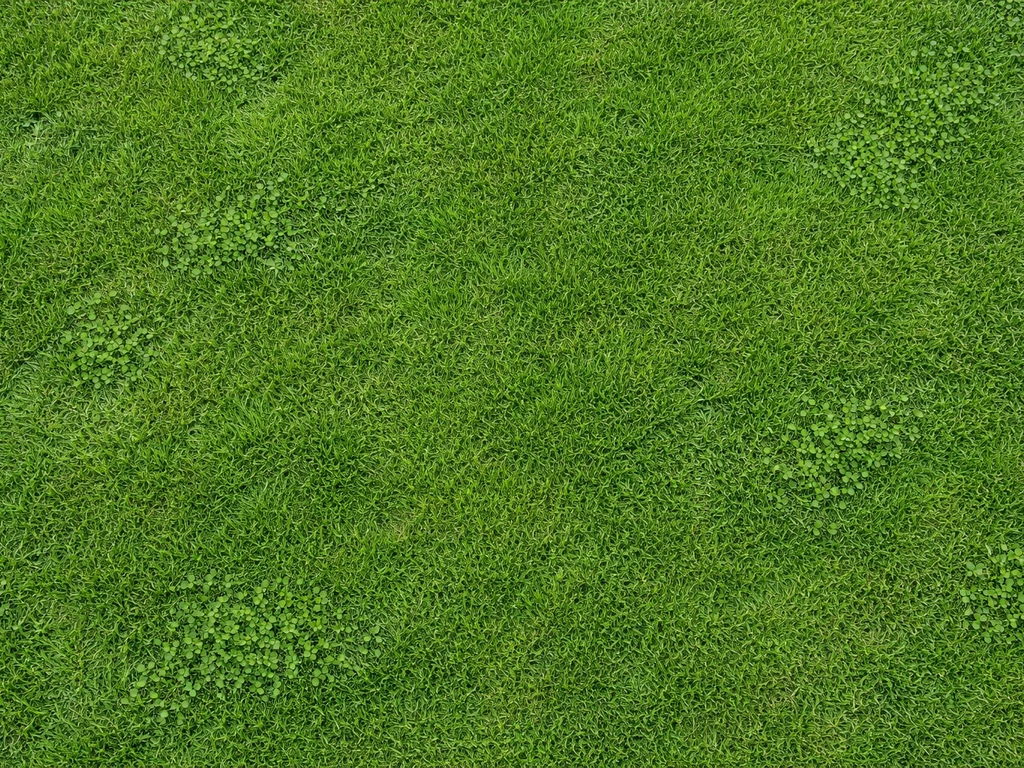 Bovenaanzicht van dicht, groen Nederlands gazon met kleine klavervlekken tussen het gras